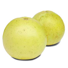 FRUTAS LIMA REDONDA X 100gr